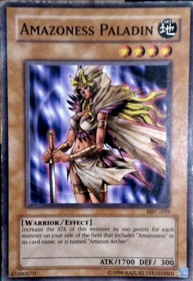 Amazoness Paladin